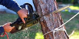 Soil Testing and Treatment in South Portland, ME